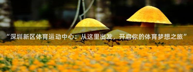 JJB竞技宝官方正版app娱乐网站：“深圳新区体育运