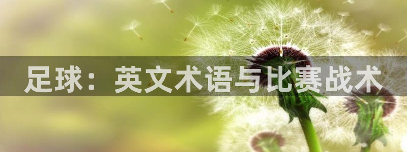 JJB竞技宝官网下载平台注册要钱吗是真的吗：足球：英
