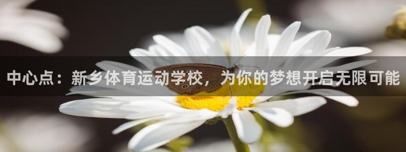 JJB竞技宝官方正版app科技
