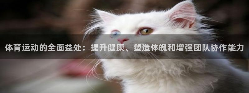 JJB竞技宝官方正版app集团logo：体育运动的全