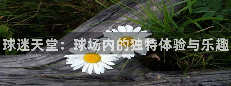 海南JJB竞技宝官网下载发展怎么样：球迷天堂：球场内