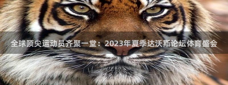 JJB竞技宝官网下载招商电话是多少：全球顶尖运动员齐