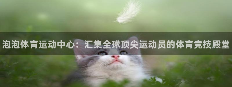 JJB竞技宝官方正版app集团