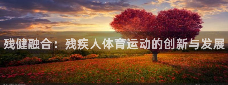 JJB竞技宝官网下载软件：残健融合：残疾人体育运动的