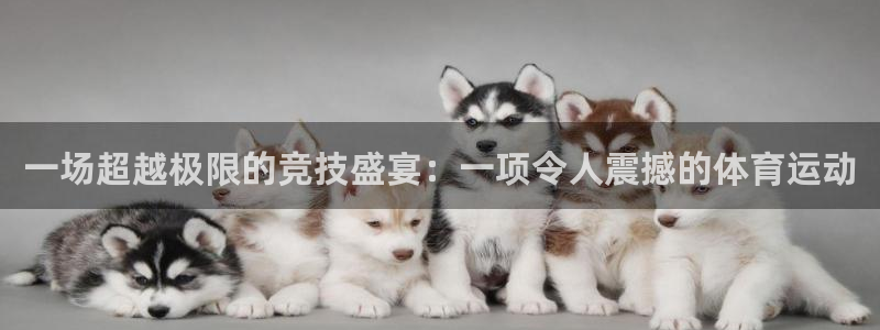 JJB竞技宝官方正版app集团：一场超越极限的竞技盛宴：一项