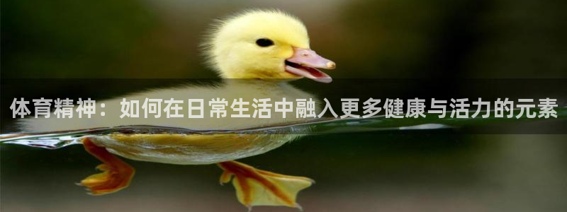 JJB竞技宝官网下载招商电话是多少号码：体育精神：如何在日常