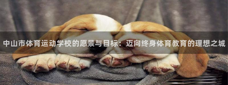 JJB竞技宝官网下载是干嘛的公司：中山市体育运动学校的愿景与