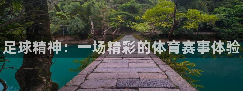 JJB竞技宝官网下载是干嘛的公司：足球精神：一场精彩的体育赛