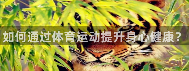 JJB竞技宝官方正版app代理：如何通过体育运动提升身心健康
