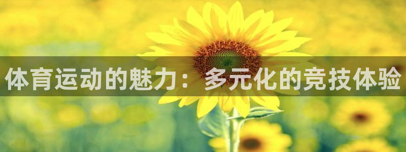 JJB竞技宝官网下载是干嘛的公司