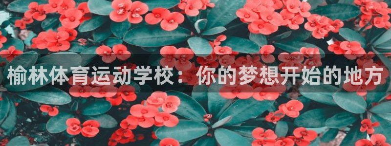 JJB竞技宝官方正版app神州：榆林体育运动学校：你的梦想开