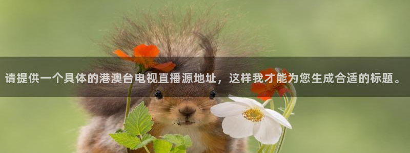 nba直播免费观看直播在线乐球直播：请提供一个具体的港澳台电视直播源地址，这样我才能为您生成合适的标题。