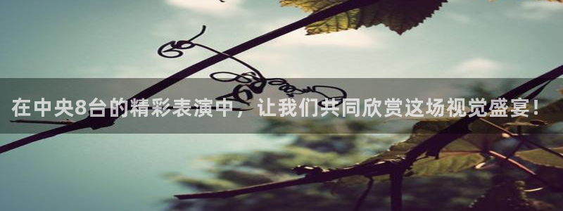 乐球nba直播免费观看：在中央8台的精彩表演中，让我们共同欣赏这场视觉盛宴！