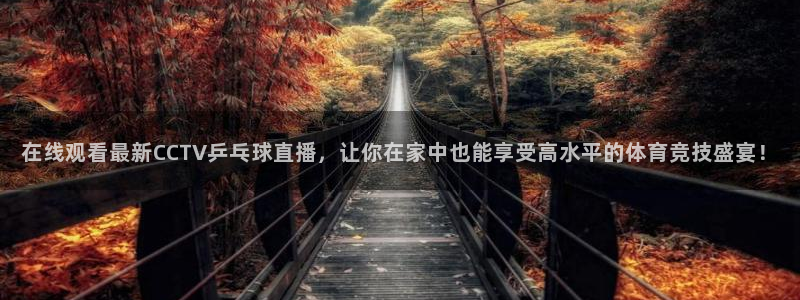 乐球吧jrs低调直播：在线观看最新CCTV乒乓球直播，让你在家中也能享受高水平的体育竞技盛宴！
