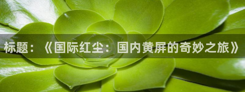 乐球比赛直播在线观看：标题：《国际红尘：国内黄屏的奇妙之旅》