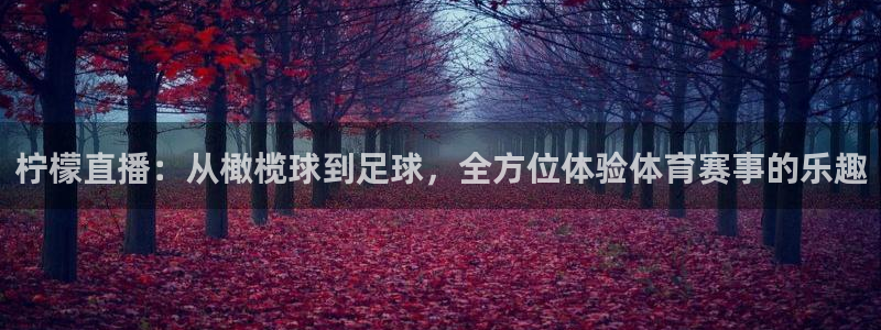 山猫乐球足球直播：柠檬直播：从橄榄球到足球，全方位体验体育赛事的乐趣